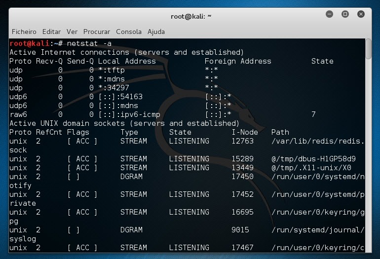 Analisadores de Pacotes netstat